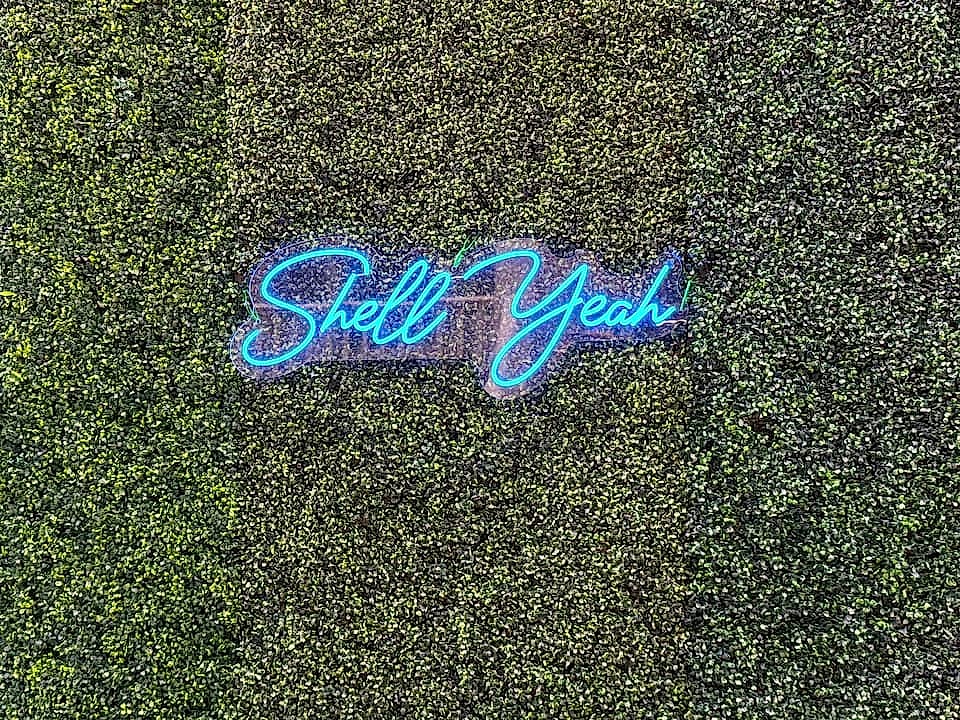 Shell Yeah courtyard and LSV garage — Prominence 30A